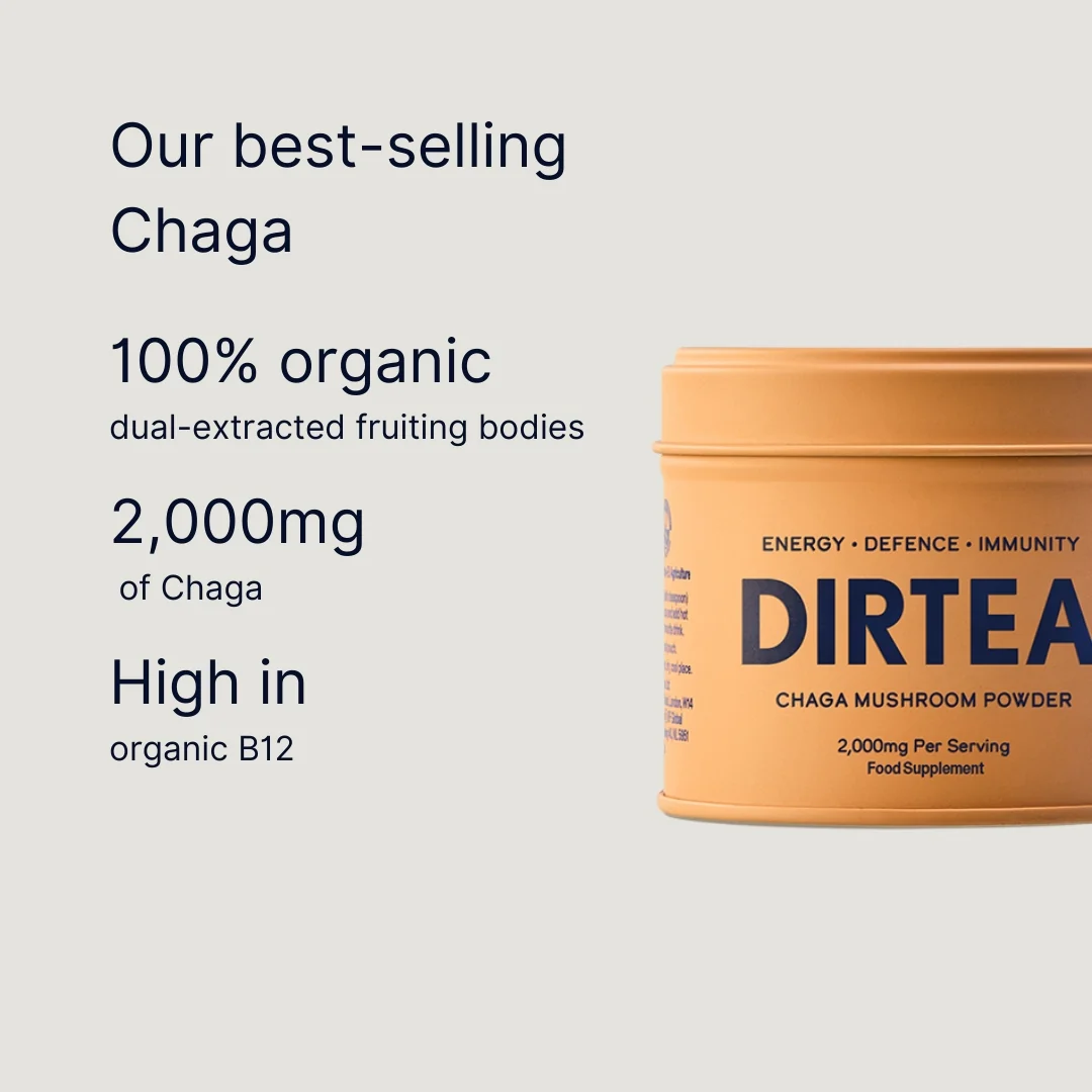 Chaga Mushroom Powder (60g Pouch) - Image 6