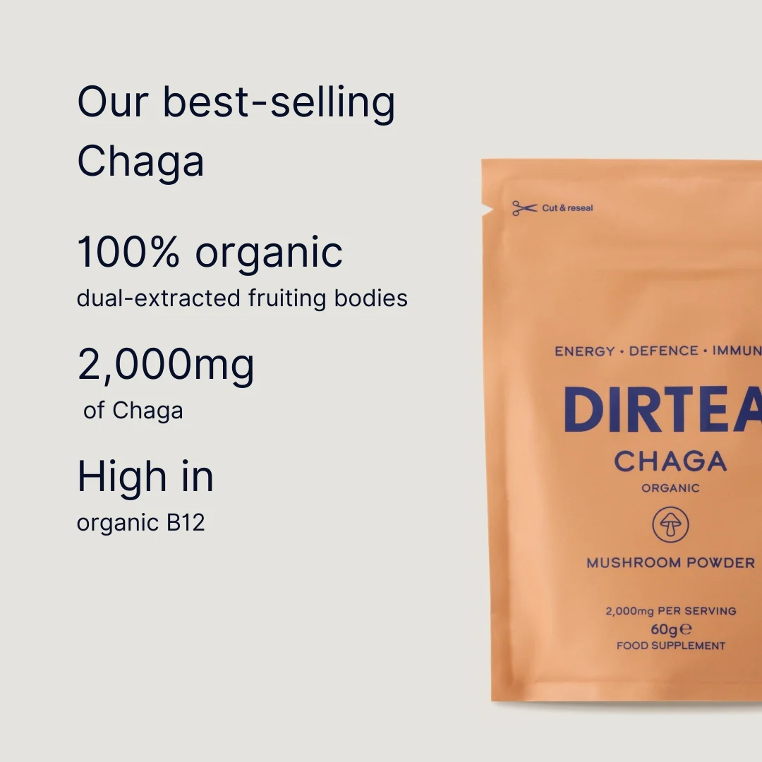 Chaga Mushroom Powder (60g Pouch) - Image 8